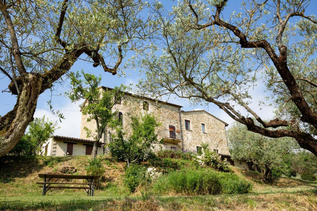 Villa Colle Di Rocco Limigiano Exterior foto